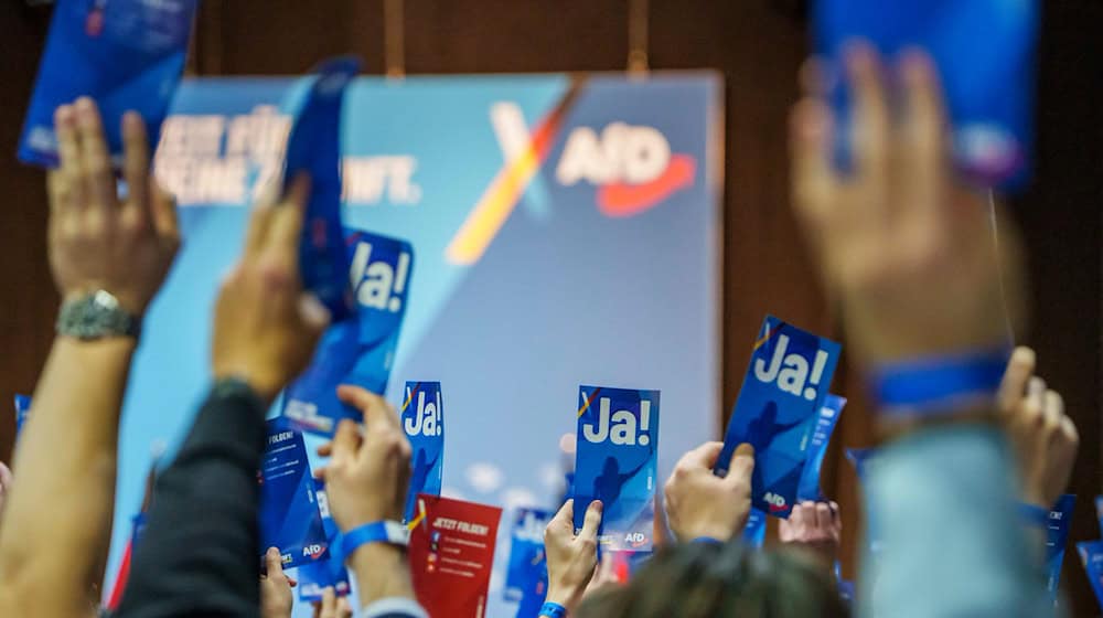 Die neue Jugendorganisation der AfD, Generation Deutschland, will nun einen Landesverband in Niedersachsen gründen. (Archivbild) / Foto: Andreas Arnold/dpa