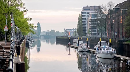 In Niedersachsen und Bremen steigen die Temperaturen in dieser Woche in frühlingshafte Regionen.  / Foto: Hauke-Christian Dittrich/dpa