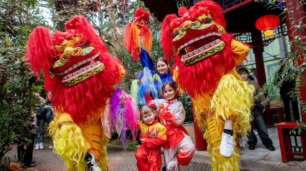 Nach dem chinesischen Kalender endete in dieser Woche das Jahr der Holzschlange und ging in das Jahr des Feuerpferdes über.  / Foto: Hauke-Christian Dittrich/dpa
