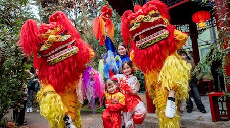 Nach dem chinesischen Kalender endete in dieser Woche das Jahr der Holzschlange und ging in das Jahr des Feuerpferdes über.  / Foto: Hauke-Christian Dittrich/dpa