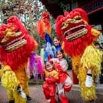 Nach dem chinesischen Kalender endete in dieser Woche das Jahr der Holzschlange und ging in das Jahr des Feuerpferdes über.  / Foto: Hauke-Christian Dittrich/dpa