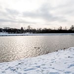 Kalter Wind sorgt derzeit für ein eisiges Temperaturempfinden. / Foto: Hauke-Christian Dittrich/dpa