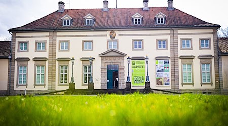 Unter dem Titel «Ich sehe was, was du nicht siehst!» stehen Arbeiten von Anke Feuchtenberger und Ulli Lust im Mittelpunkt. Die Doppelausstellung läuft bis zum 14. Juni. (Archivbild) / Foto: Moritz Frankenberg/dpa