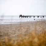 In Niedersachsen und Bremen bleibt es zum Wochenende bedeckt - dann soll es erneut winterlich werden. (Symbolbild) / Foto: Hauke-Christian Dittrich/dpa
