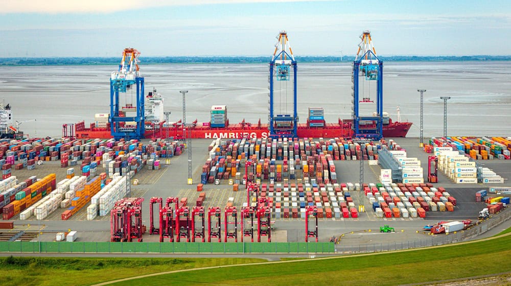 Das Container-Terminal soll für eine Milliarde Euro modernisiert werden. (Archivfoto) / Foto: Sina Schuldt/dpa