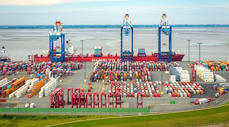 Das Container-Terminal soll für eine Milliarde Euro modernisiert werden. (Archivfoto) / Foto: Sina Schuldt/dpa