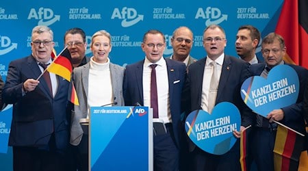 Vetternwirtschafts-Vorwürfe belasten AfD – Vorstand prüft Fälle in Niedersachsen, NRW stoppt Minijob-Erstattung