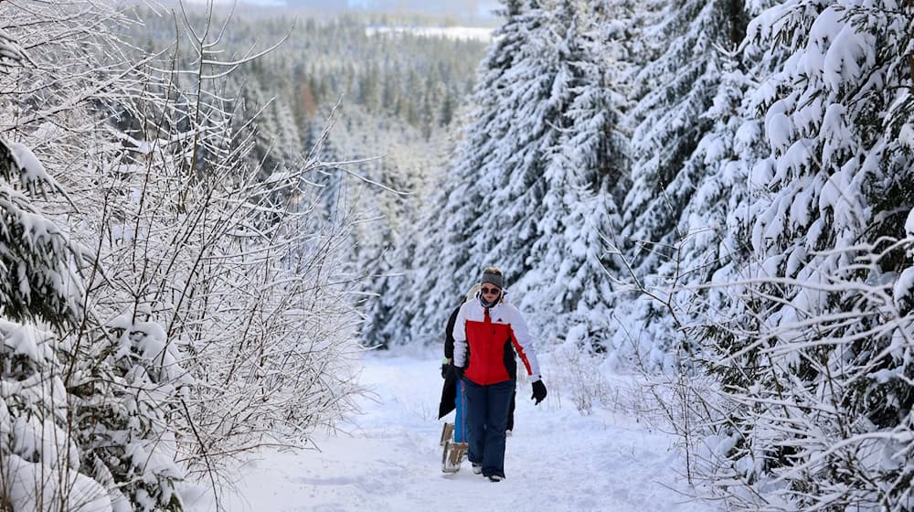 Das stabile Winterwetter mit genügend Schnee lockt viele Besucher in den Harz. (Archivbild) / Foto: Matthias Bein/dpa