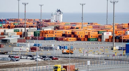 Durch den Austritt der giftigen Flüssigkeit wurden drei Menschen im JadeWeserPort verletzt. (Archivbild) / Foto: Hauke-Christian Dittrich/dpa