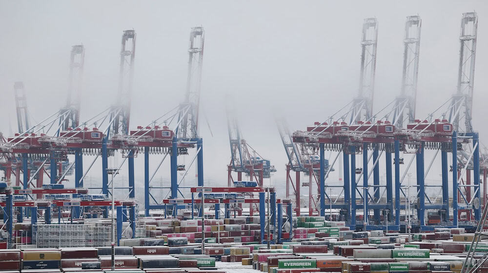 Die Umschlagszahlen in Hamburger Hafen sind nach drei Jahren wieder gestiegen. (Archivbild)  / Foto: Christian Charisius/dpa