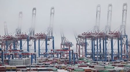 Die Umschlagszahlen in Hamburger Hafen sind nach drei Jahren wieder gestiegen. (Archivbild)  / Foto: Christian Charisius/dpa