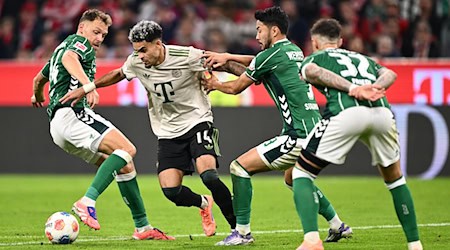 Jagd auf die Bayern? Die Werder-Spieler Senne Lynen (l) und Yukinari Sugawara bedrängen den Münchner Profi Luis Diaz. / Foto: Harry Langer/dpa