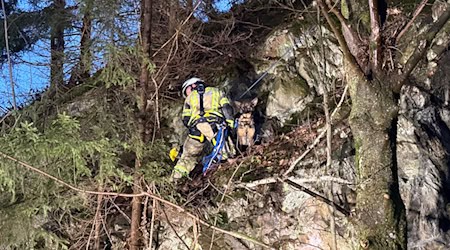 Die Feuerwehr sicherte den Hund. / Foto: -/Feuerwehr Goslar/dpa