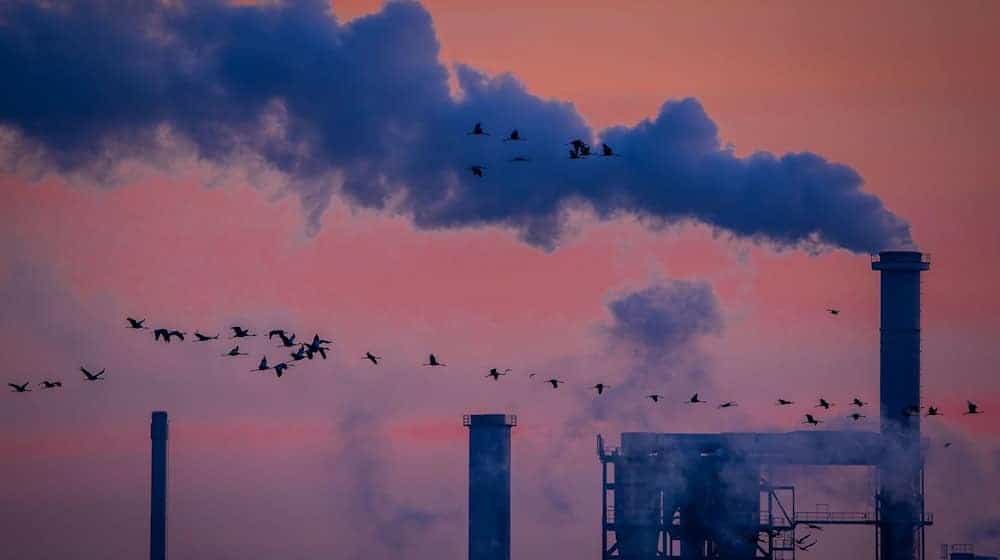 Industriebetriebe in Norddeutschland versuchen, ihre Abhängigkeit von den USA zu verringern. (Archivbild)  / Foto: Jens Büttner/dpa