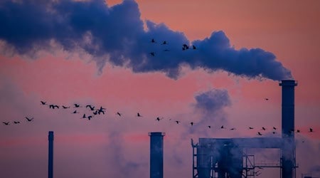 Industriebetriebe in Norddeutschland versuchen, ihre Abhängigkeit von den USA zu verringern. (Archivbild)  / Foto: Jens Büttner/dpa