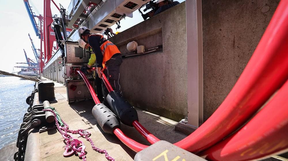 Laut einer Studie im Auftrag der Umweltorganisation Nabu sind LNG-Containerschiffe ein Problem bei der emissionsfreien Landstromversorgung in den Häfen. (Archivbild) / Foto: Christian Charisius/dpa