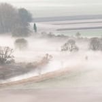 Die kommende Woche bringt Nebel in Niedersachsen und Bremen. (Archivbild) / Foto: Julian Stratenschulte/dpa