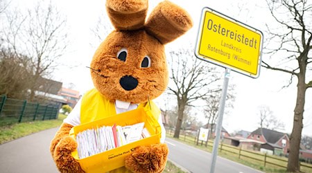 Ab Montag freut sich der Osterhase auf Briefe aus aller Welt. (Archivbild) / Foto: Sina Schuldt/dpa