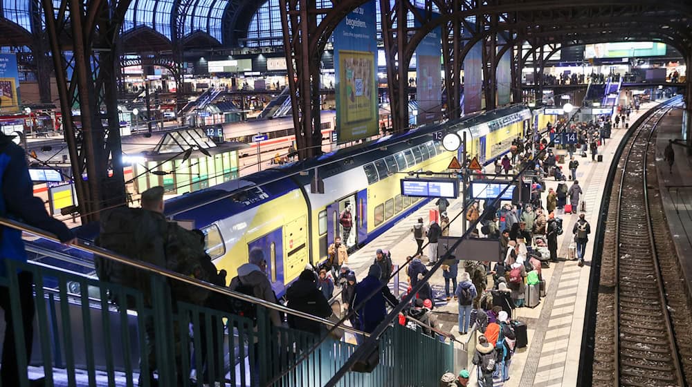 Die Züge des Metronum fahren derzeit nicht vom und zum Hamburger Hauptbahnhof. (Symbolbild) / Foto: Bodo Marks/dpa