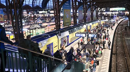 Die Züge des Metronum fahren derzeit nicht vom und zum Hamburger Hauptbahnhof. (Symbolbild) / Foto: Bodo Marks/dpa