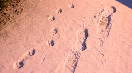 Die Woche beginnt vielerorts mit Schnee. / Foto: Julian Stratenschulte/dpa