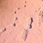 Die Woche beginnt vielerorts mit Schnee. / Foto: Julian Stratenschulte/dpa