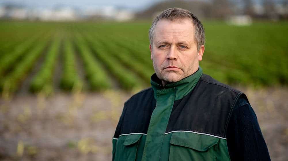 Der Schneefall hat die Grünkohlernte für Gottfried Gerken frühzeitig beendet. / Foto: Hauke-Christian Dittrich/dpa