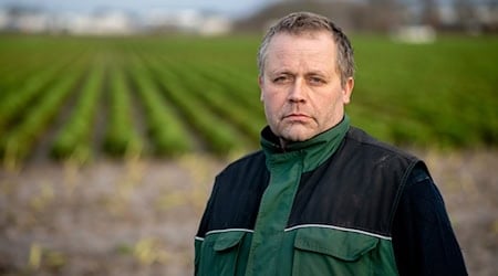 Der Schneefall hat die Grünkohlernte für Gottfried Gerken frühzeitig beendet. / Foto: Hauke-Christian Dittrich/dpa