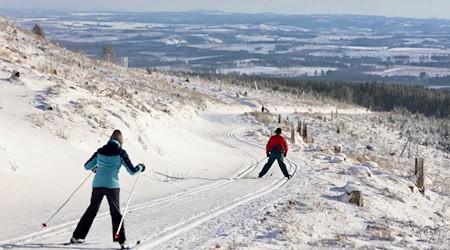 Auch Langlauf ist in diesem Winter im Harz schon häufig möglich gewesen. (Archivbild) / Foto: Matthias Bein/dpa