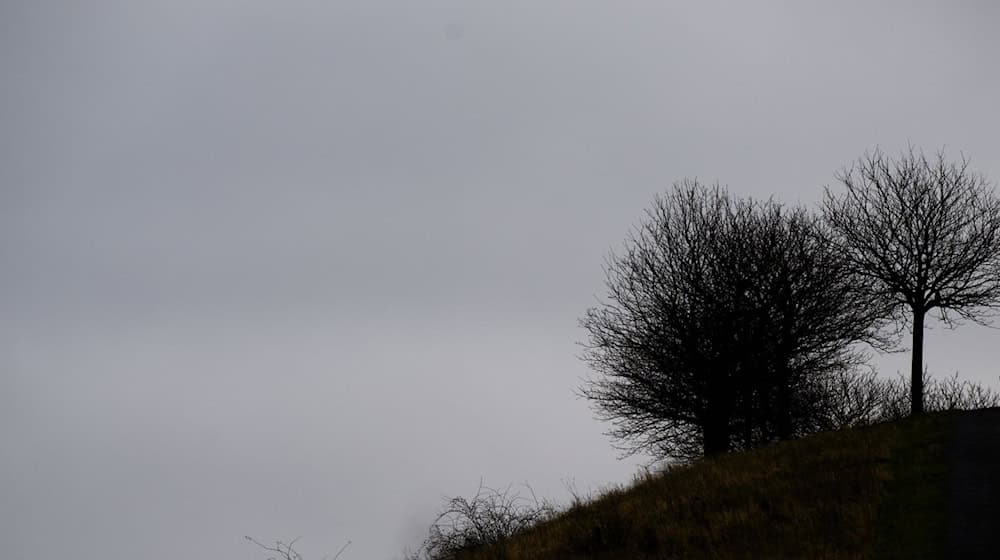 Das Wetter in Niedersachsen zeigt sich am Wochenende auch weiterhin grau und trüb. (Archivbild) / Foto: Julian Stratenschulte/dpa
