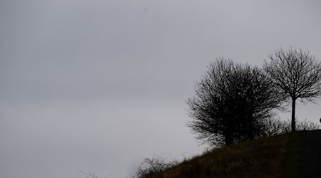 Das Wetter in Niedersachsen zeigt sich am Wochenende auch weiterhin grau und trüb. (Archivbild) / Foto: Julian Stratenschulte/dpa