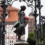 An drei Terminen im Jahr 2026 dürfen Interessierte das Gänseliesel ganz offiziell küssen. (Archivbild) / Foto: Swen Pförtner/dpa