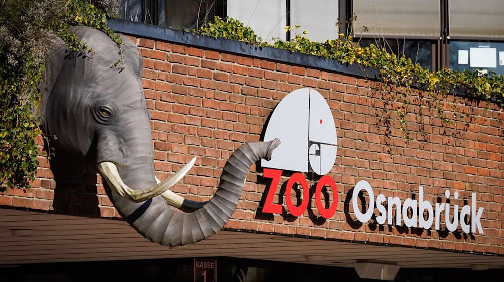 Ein Nandu ist im Zoo Osnabrück gestorben, bei einer ersten Untersuchung wurde der Vogelgrippevirus festgestellt. (Archivbild) / Foto: Friso Gentsch/dpa