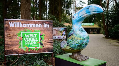 Nach dem Ausbruch der Geflügelpest bleibt der Vogelpark Walsrode vorübergehend geschlossen. (Archiv)  / Foto: Philipp Schulze/dpa