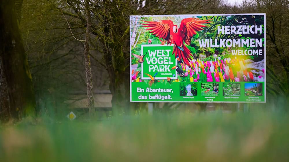 Nach dem Ausbruch der Geflügelpest bleibt der Vogelpark Walsrode vorübergehend geschlossen. (Archivbild)  / Foto: Philipp Schulze/dpa