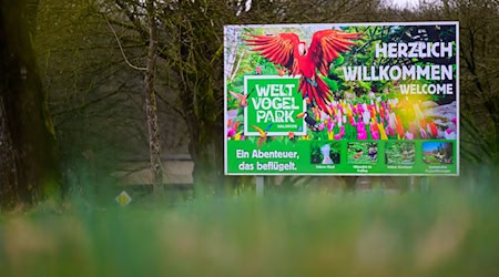 Vogelgrippe im Weltvogelpark - Wie geht es weiter?