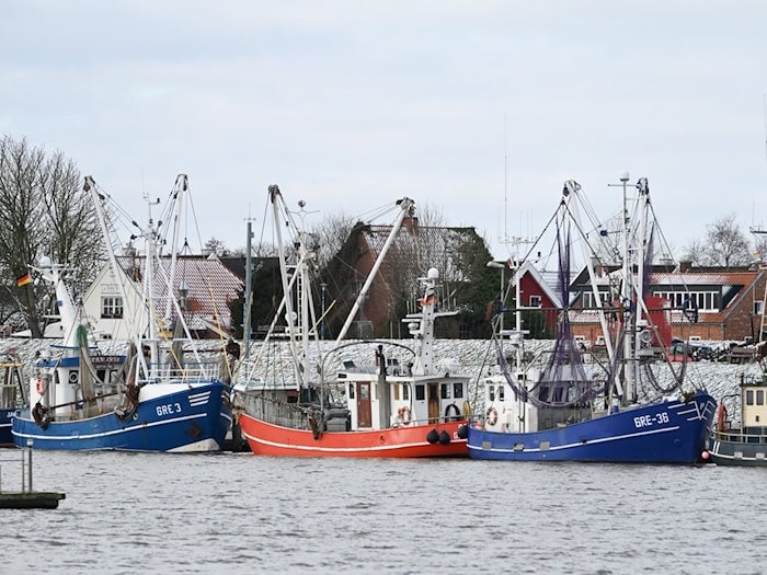 Der Februar brachte Wetterkontraste mit sich, war aber bis auf die letzten Februar-Tage vor allem von hartnäckiger Kälte geprägt. (Archivbild) / Foto: Lars Penning/dpa