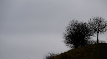 Gute Luft ist wichtig - derzeit ist sie allerdings vielerorts nicht gut. (Archivbild) / Foto: Julian Stratenschulte/dpa