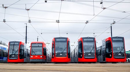 Ein Warnstreik bremst erneut Straßenbahnen und Busse in Bremen aus. (Archivbild) / Foto: Sina Schuldt/dpa