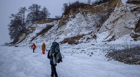 Im Winter kommt es an der Steilküste des Nationalparks Jasmund vermehrt zu Hangrutschen. / Foto: Jens Büttner/dpa