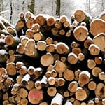 Der Hersteller von Holzbearbeitungsmaschinen Weinig leidet unter der Wirtschaftsflaute. (Foto Illustration) / Foto: Candy Welz/dpa-Zentralbild/dpa