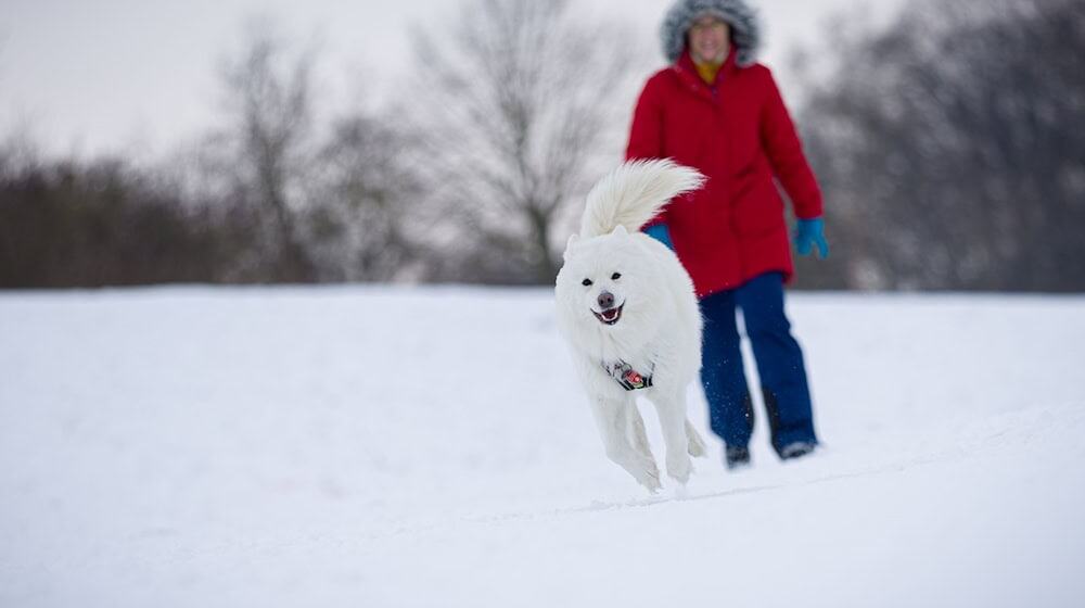 Auch zum Wochenstart bleibt es in Niedersachsen frostig kalt. / Foto: Moritz Frankenberg/dpa