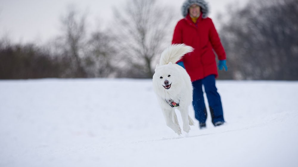 Auch zum Wochenstart bleibt es in Niedersachsen frostig kalt. / Foto: Moritz Frankenberg/dpa
