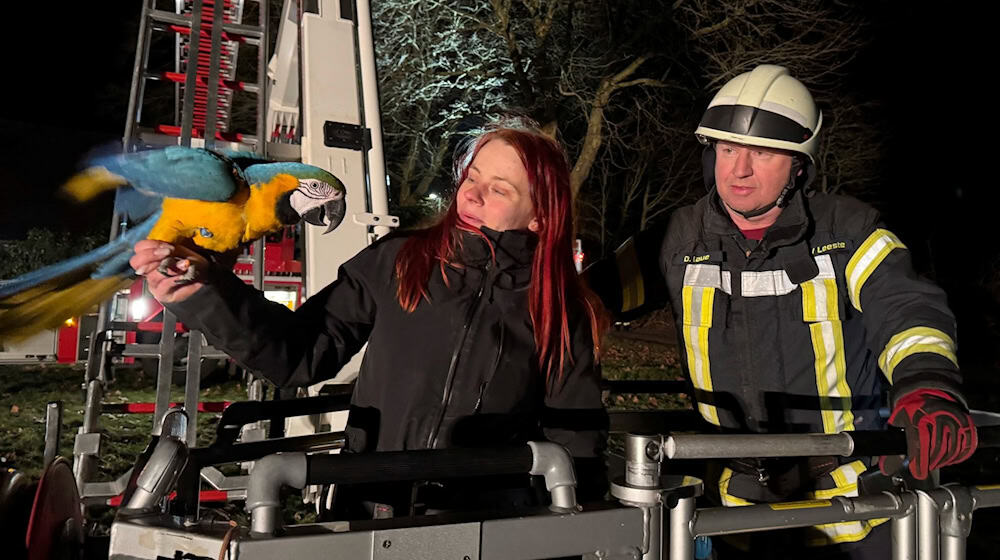 Die Feuerwehr rückte in luftige Höhe aus - für einen tierischen Ausreißer. / Foto: -/Feuerwehr Weyhe/dpa