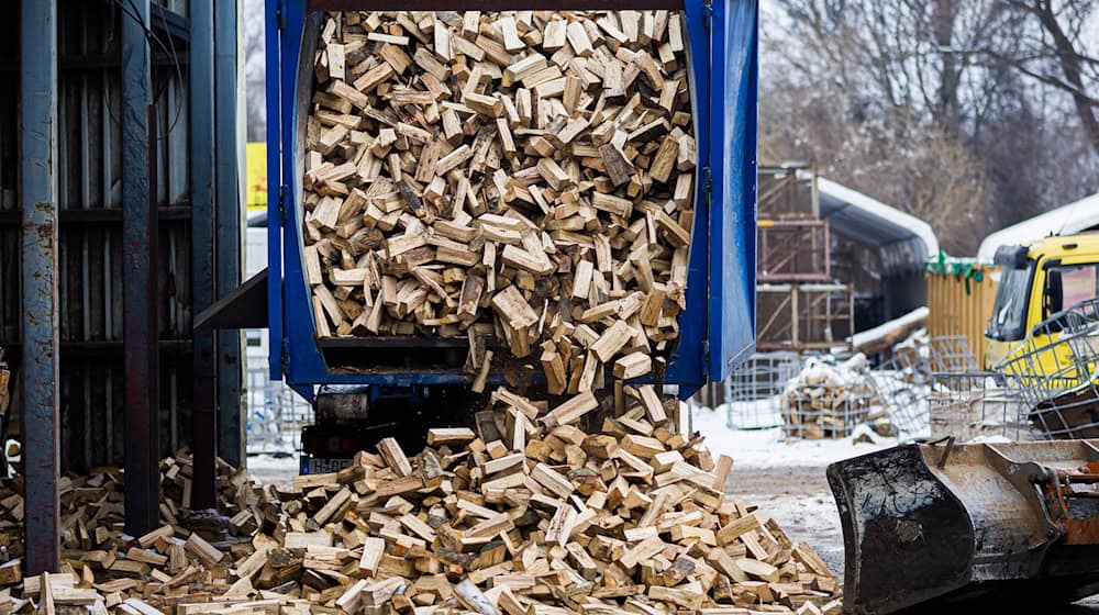 Fällt der Winter länger oder kälter aus als erwartet, kann es beim Brennholz eng werden.  / Foto: Moritz Frankenberg/dpa