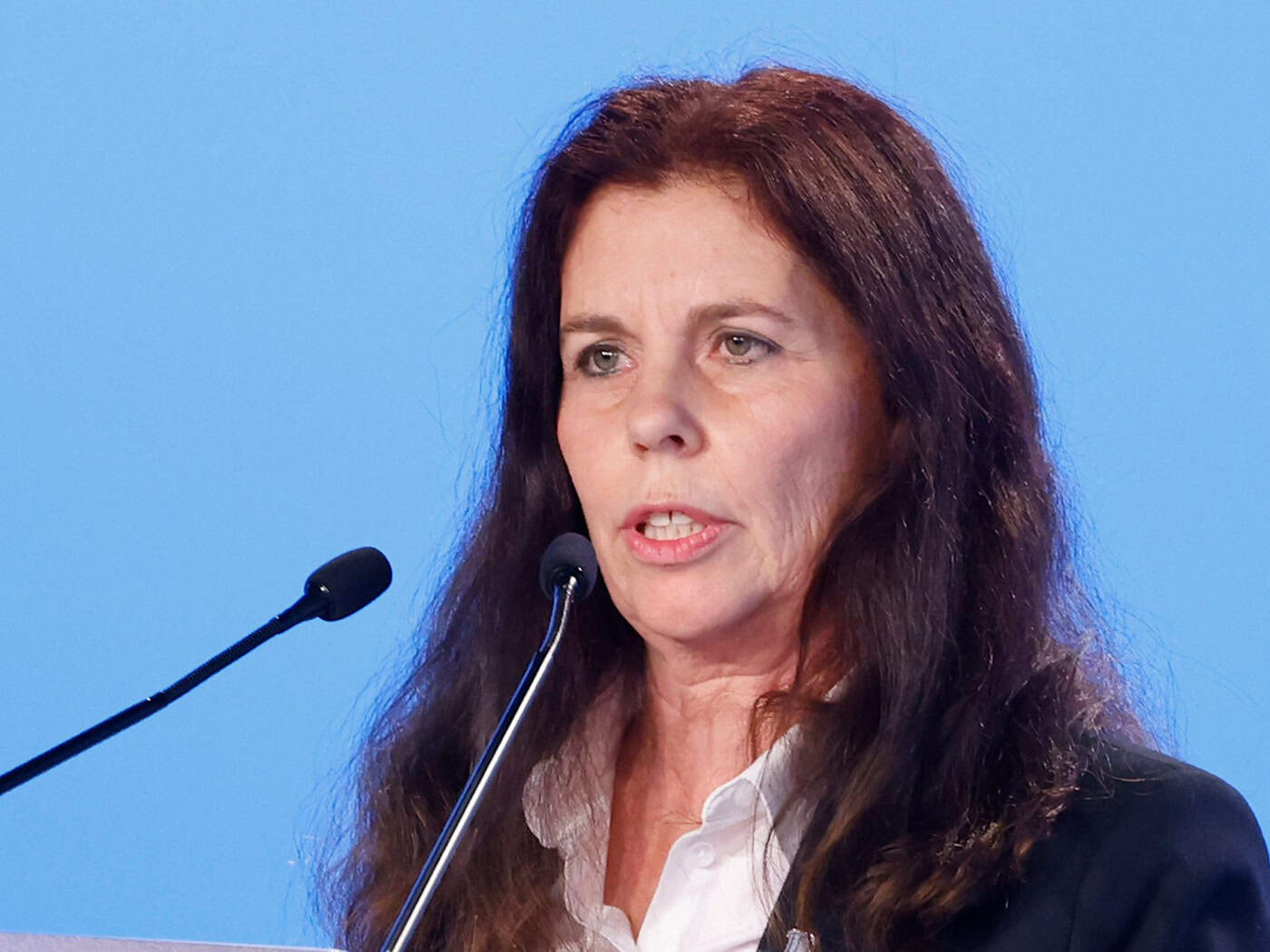 Die Europaabgeordnete Arndt hatte schwere Vorwürfe gegen die AfD-Spitze in Niedersachsen erhoben. (Archivbild) / Foto: Carsten Koall/dpa