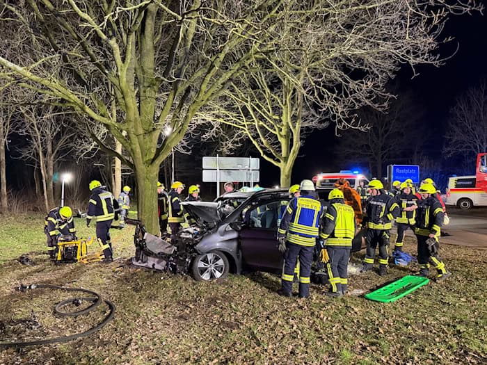 Das Auto war auf dem Rastplatz Walchum in einen Baum gerast.  / Foto: Matthias Brüning/dpa