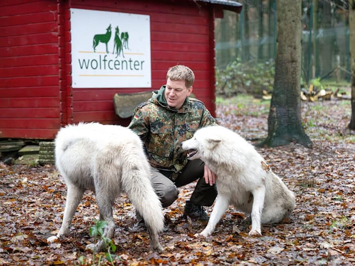 Wolfsexperte Faß warnt vor Kontakt mit Wölfen. (Archivbild) / Foto: Sina Schuldt/dpa