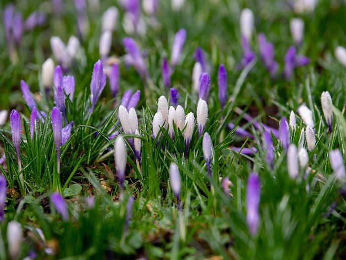 Nach mildem Wochenstart wieder kälter in Niedersachen