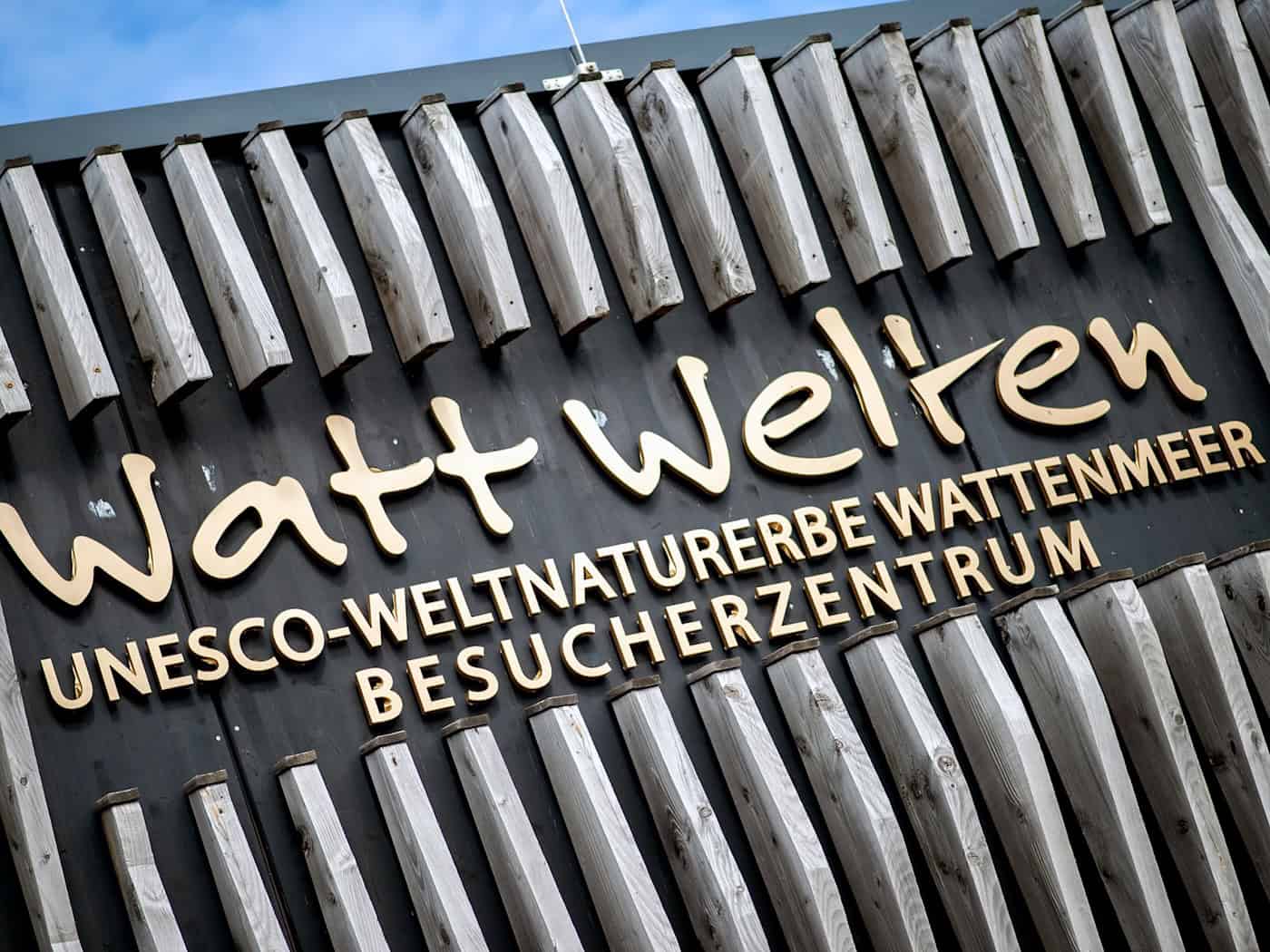 Die Ausstellung im Besucherzentrum Watt Welten auf Norderney ist rundum erneuert worden. (Archivbild) / Foto: Hauke-Christian Dittrich/dpa